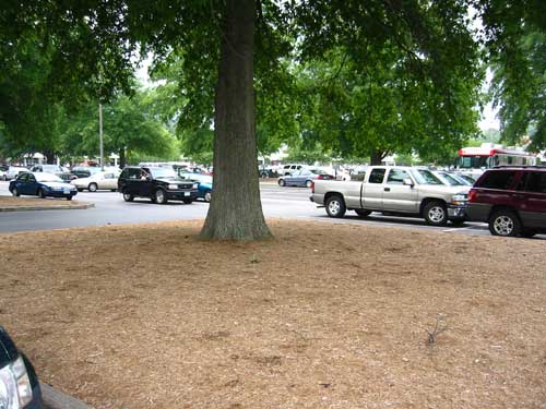 wbg_parklot_1.jpg