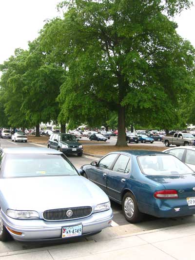 wbg_parklot_2.jpg