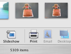 5309-items.jpg